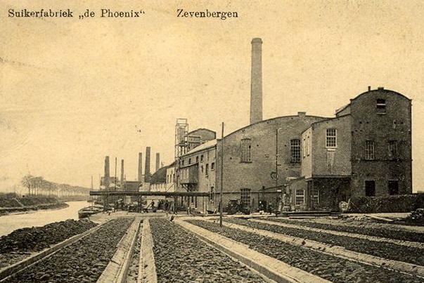 Zevenbergen (5)