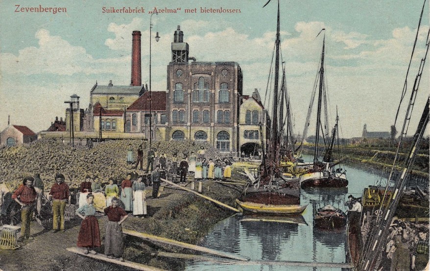 Zevenbergen - Suikerfabriek Azelma