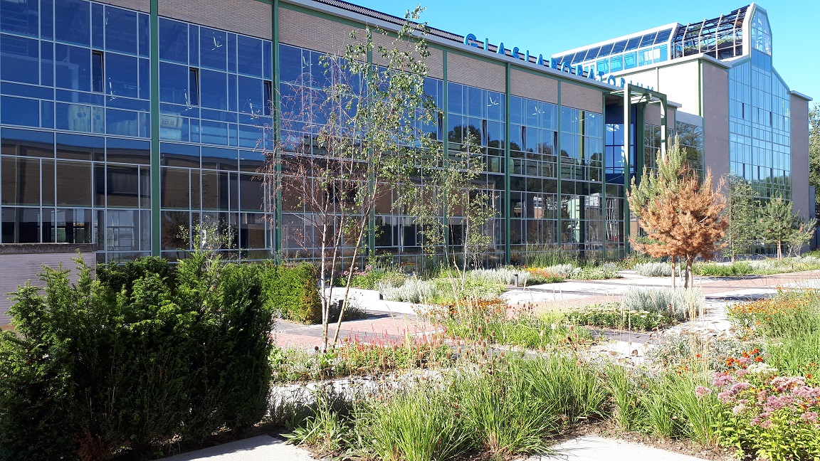 Eindhoven - Strijp T (1)